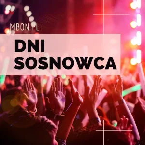 dni Sosnowca